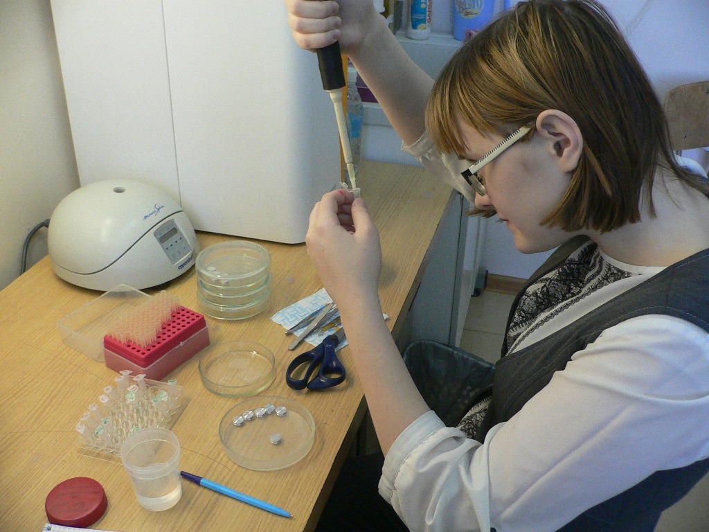 Полина Кузьмина делает препараты микроорганизмов для микроскопии